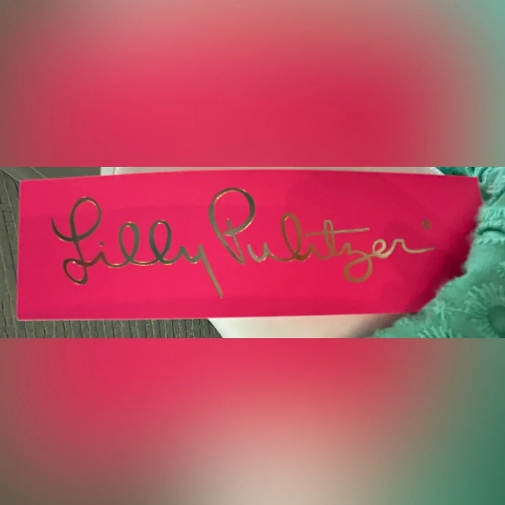 Lilly Pulitzer chrisella midi eyelet shirt dress - Picture 6 of 7